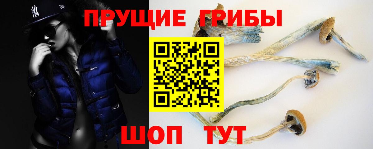 Назрань  Галлюциногенные грибы Magic Shrooms  Вход с VPN 