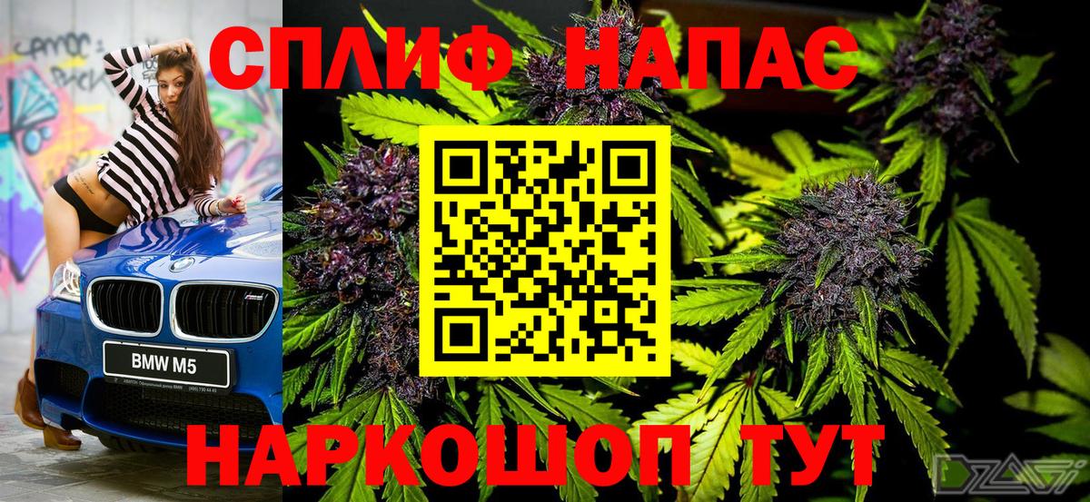 Бошки Шишки планчик  Марихуана конопля  Назрань  МАРИХУАНА MAZAR  Вход с VPN 